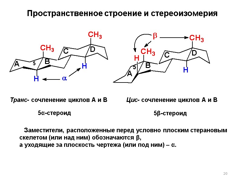 20 Пространственное строение и стереоизомерия Транс- сочленение циклов А и В Цис- сочленение циклов